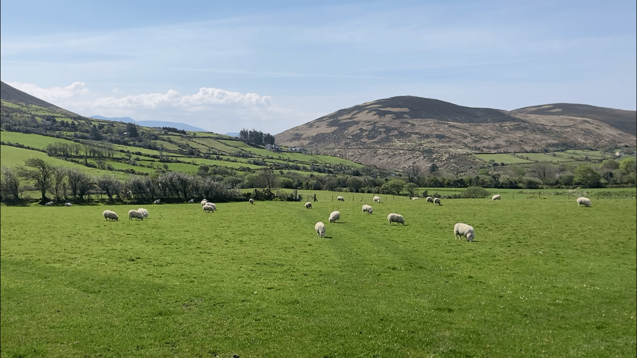 NFU Mutual 2023 Centenary Award for post-grad agri-students now open