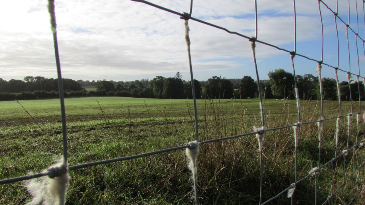 Proposal to extend SSPCA’s powers to tackle wildlife crime