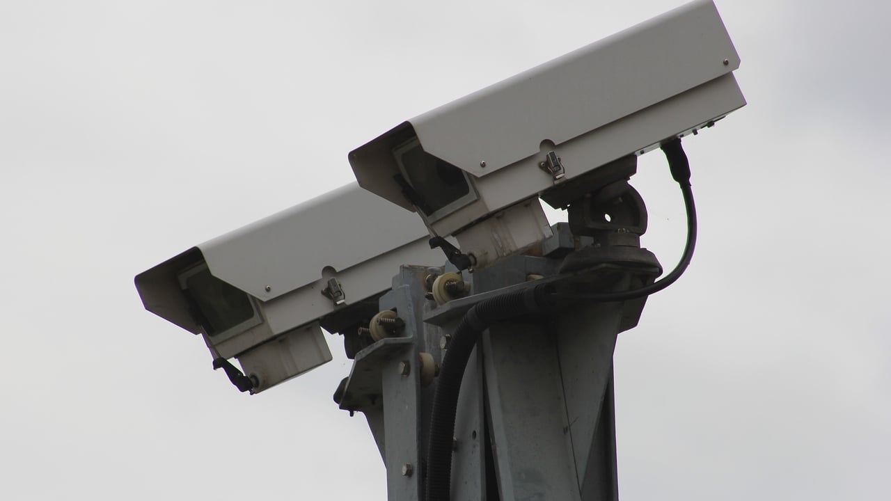 Benefits of slaughterhouse CCTV ‘outweigh’ the costs – review
