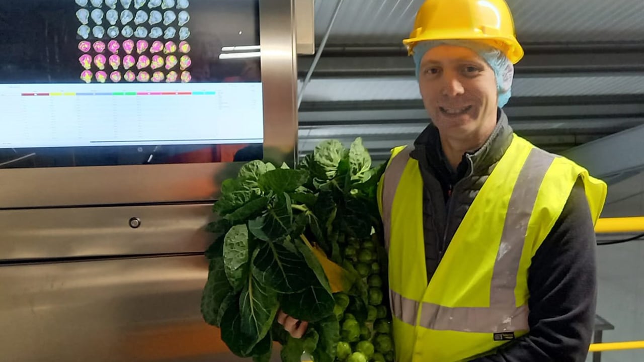 Machine dubbed ‘Sproutatron’ groups sprouts by size