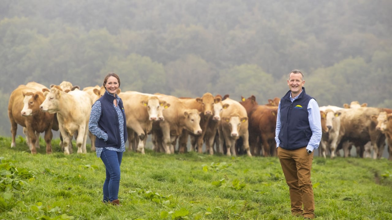 Dawn Meats invests £90m to reach net-zero target