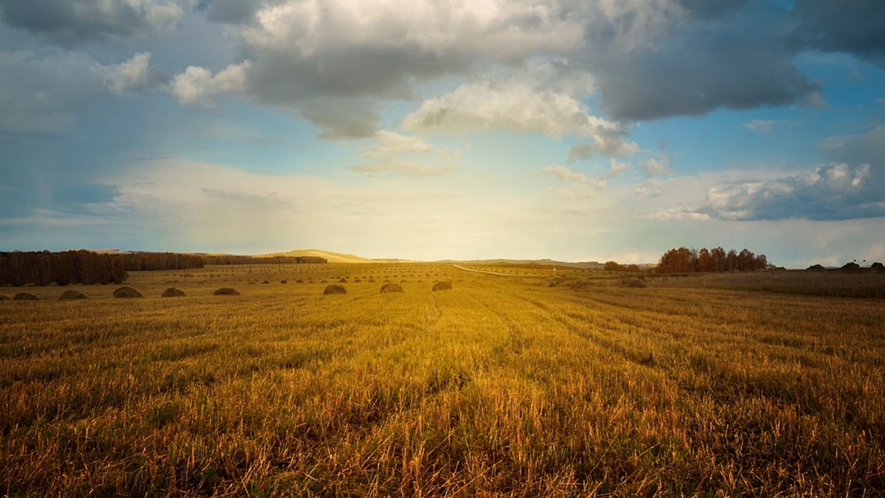 DAERA publishes 2022 Farm Business Data handbook