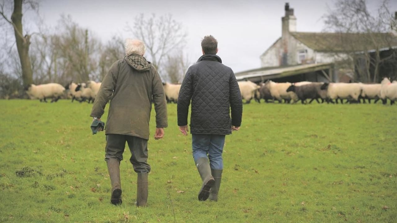 Farmers ‘need honesty’ from Defra on SFI – TFA