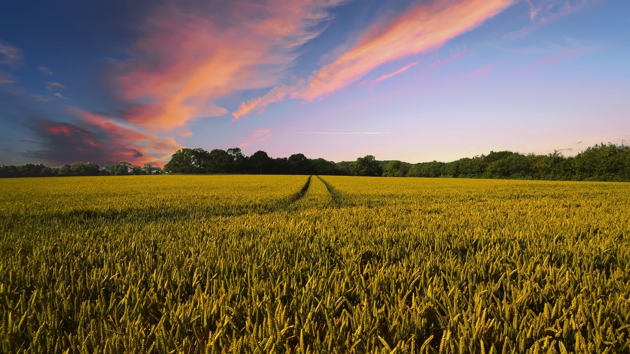 Cropin secures funding from investors including Google