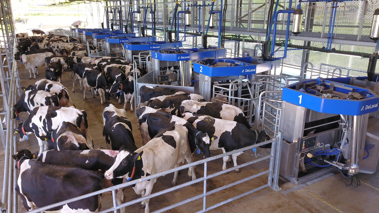 DeLaval to grow production capacity of automatic milking systems