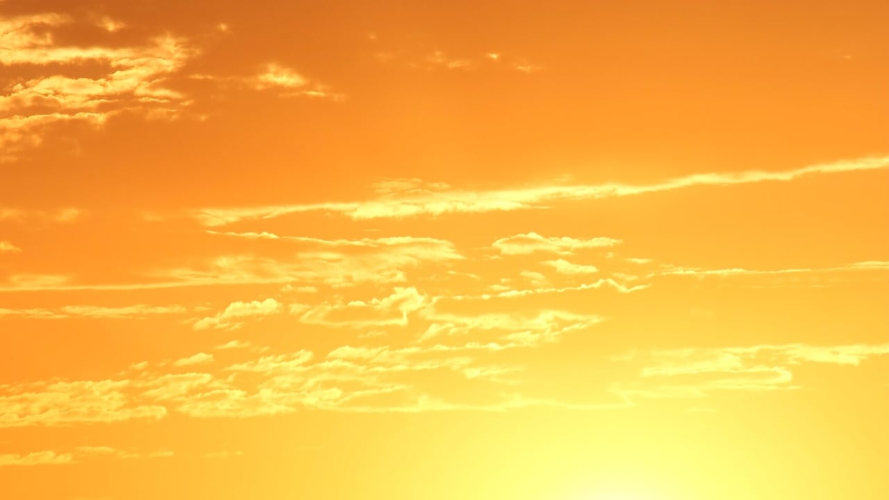 Weekend heat-health alert for 7 regions in England