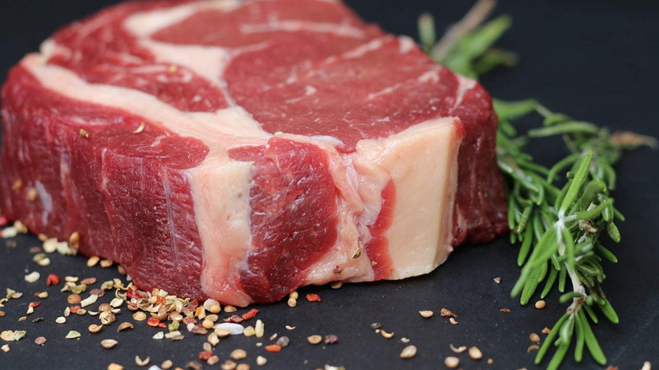LMC welcomes NI Beef and Lamb Farm Quality Assurance review