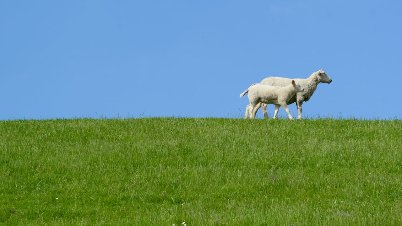 EU agri committee urged to visit border region