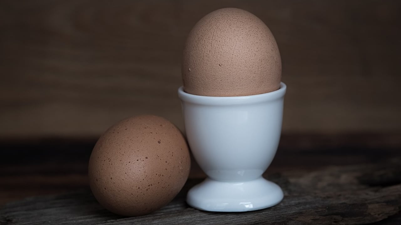 2023 World Egg Day to promote the ‘simple egg’ – NFU