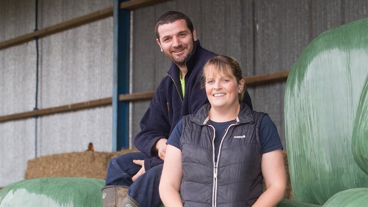 UK farmers to breed ‘ultra-low-emission’ sheep