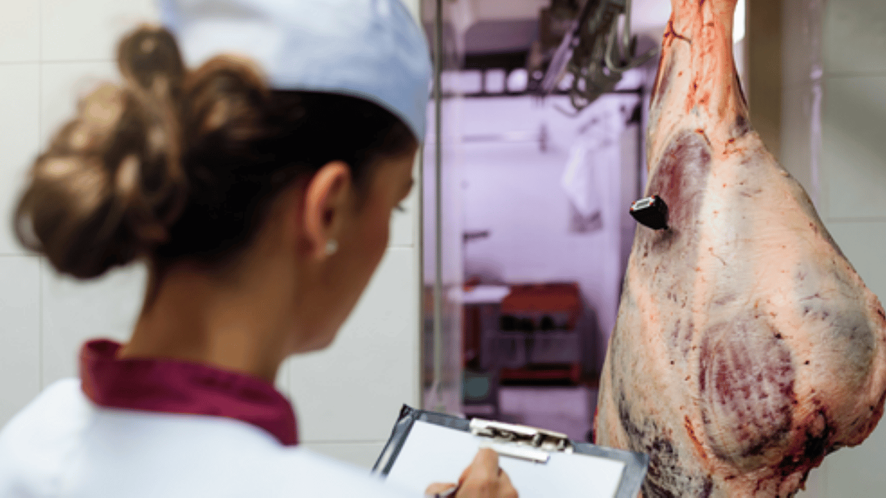 Meat sector urged to contribute to gender equality report