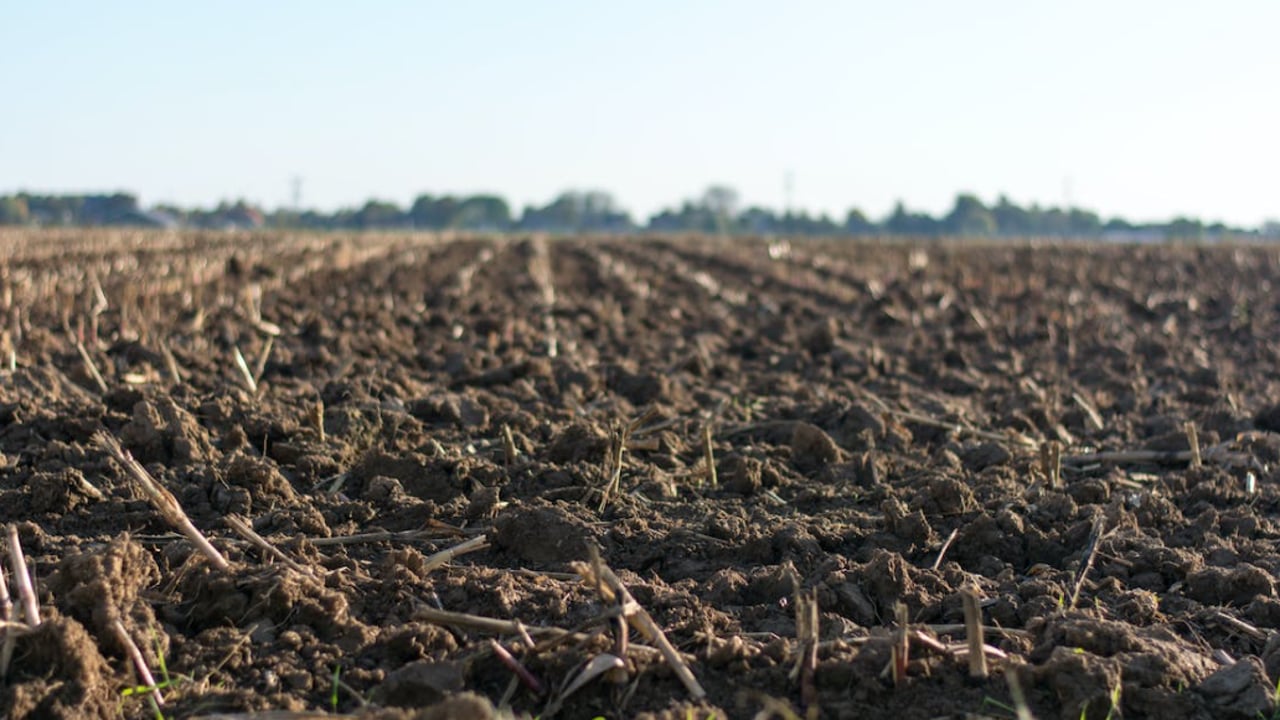 Analysis: Many arable soils in UK still too acidic