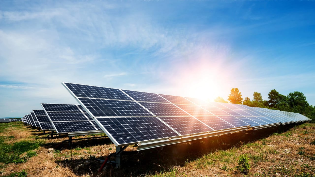 Research: Co-locating crops and solar can increase performance