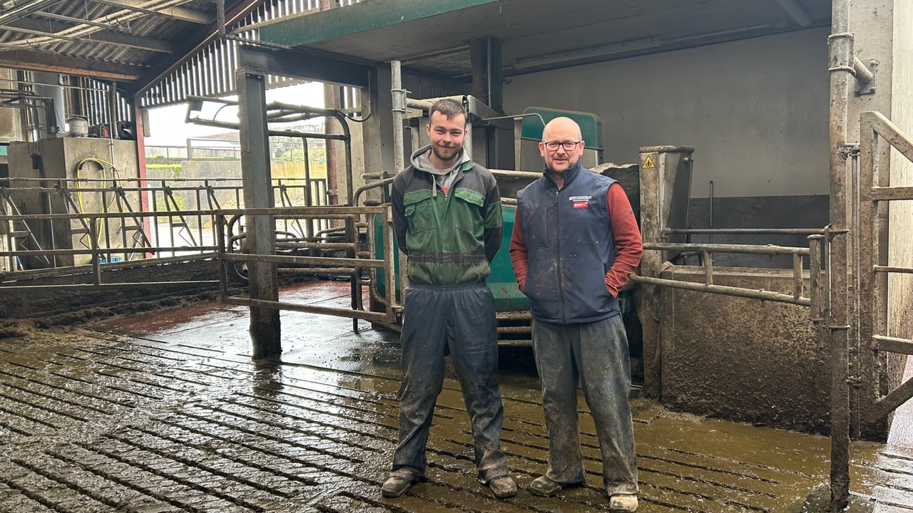 Dairy Focus: Milking 240 cows with 4 GEA robots in Antrim