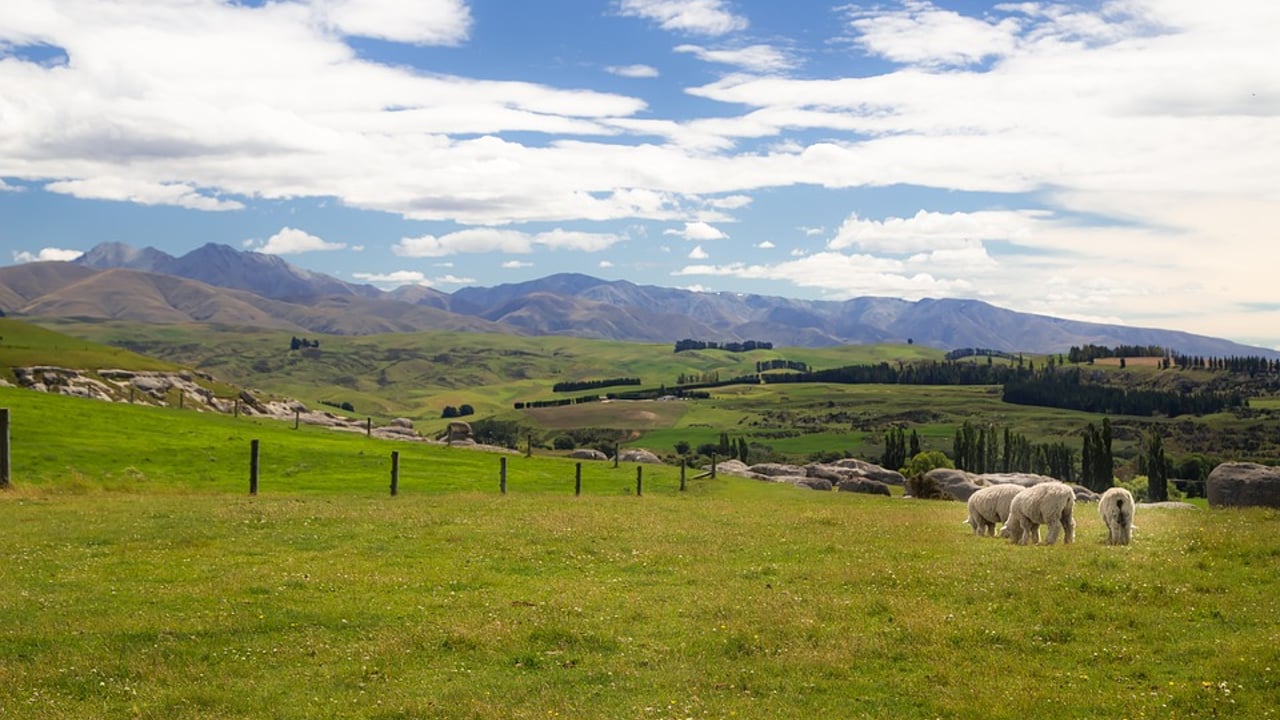 Survey launched on Pentland Hills nature enhancement project