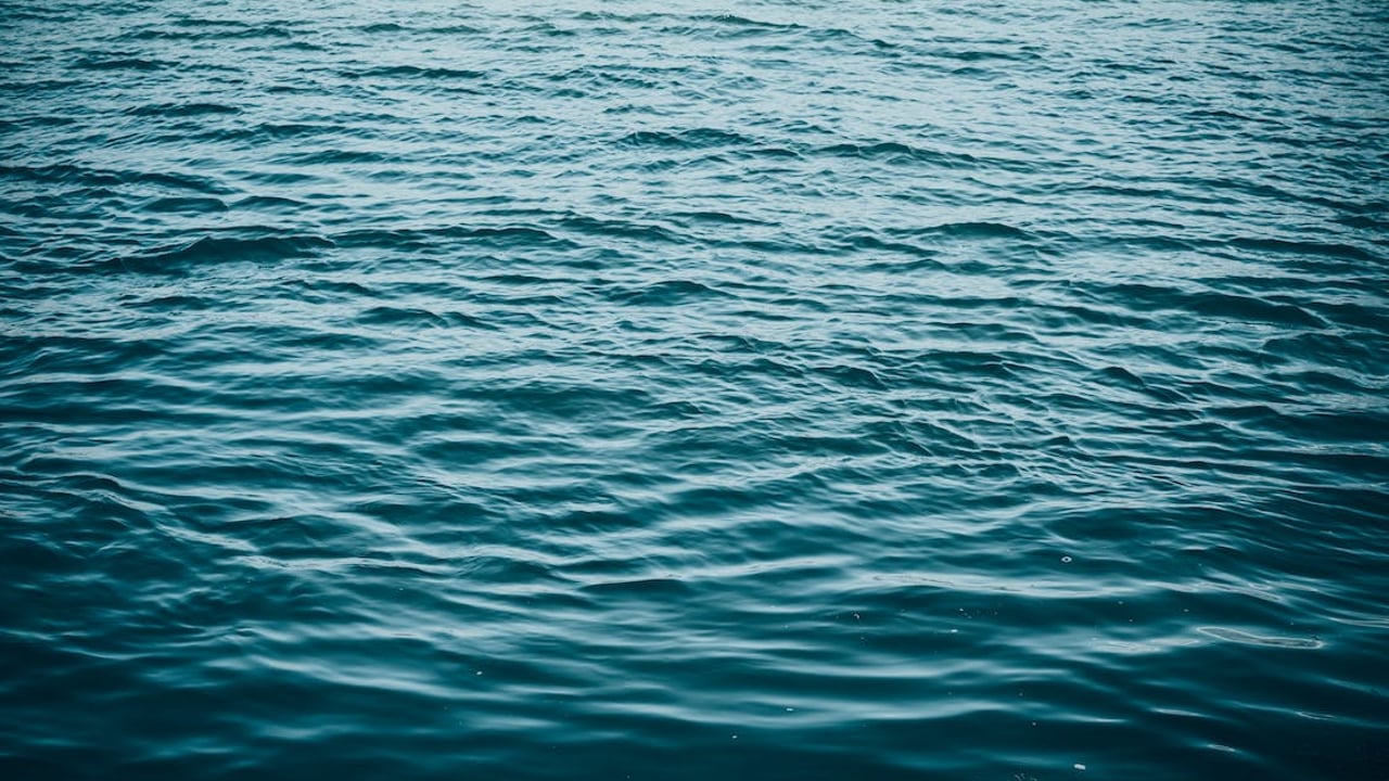 Sewage discharge has greater impact on rivers than agri land use – study