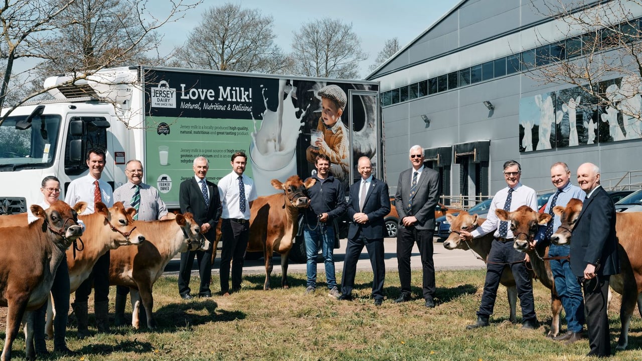 King Charles gifts heifers to Jersey dairy farm after herd loss
