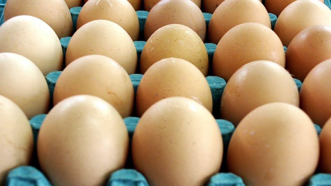 Court: Egg packers prosecuted for forging best before dates