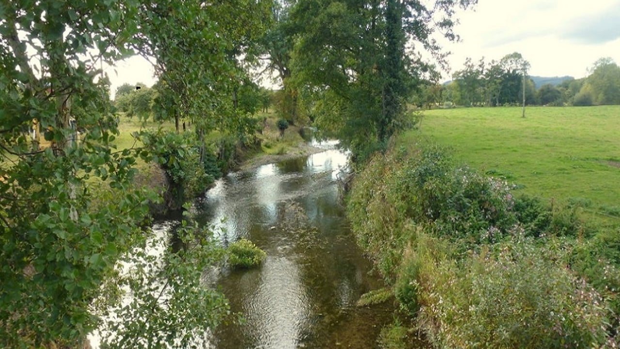 Lancashire dairy farm fined £10,000 for slurry pollution