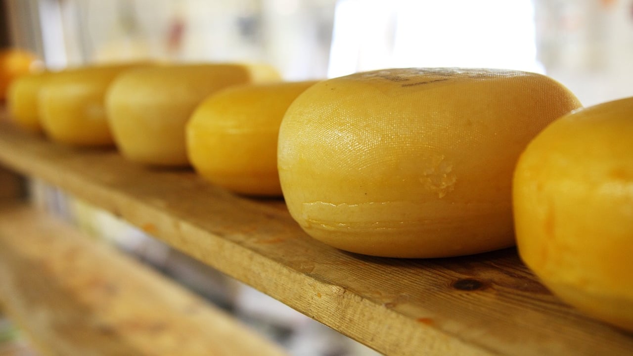 Low quotations for dairy drive down food price index