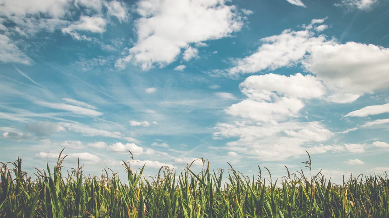 Action needed on NI carbon emissions – MLA