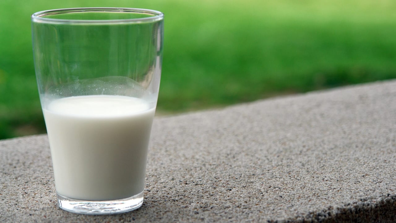First Milk announces drop in milk price from November