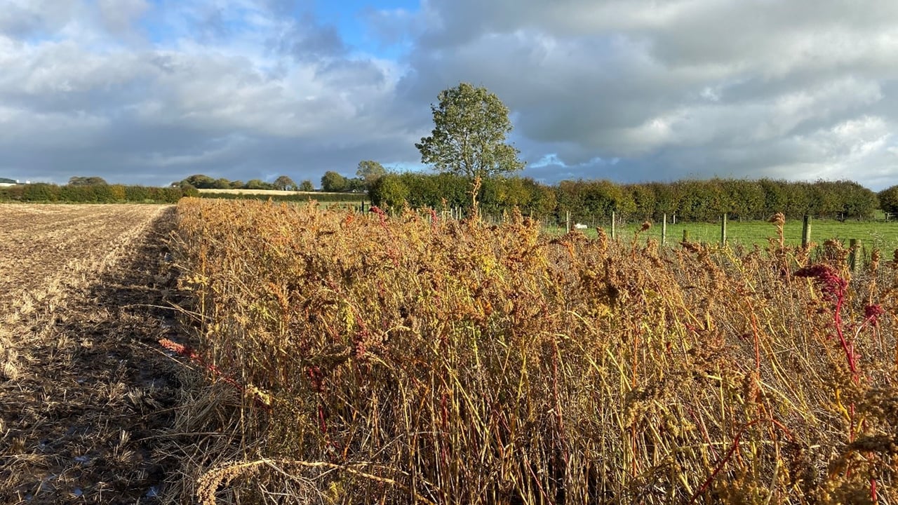 CAFRE creates online tool to assess habitat scores on farms