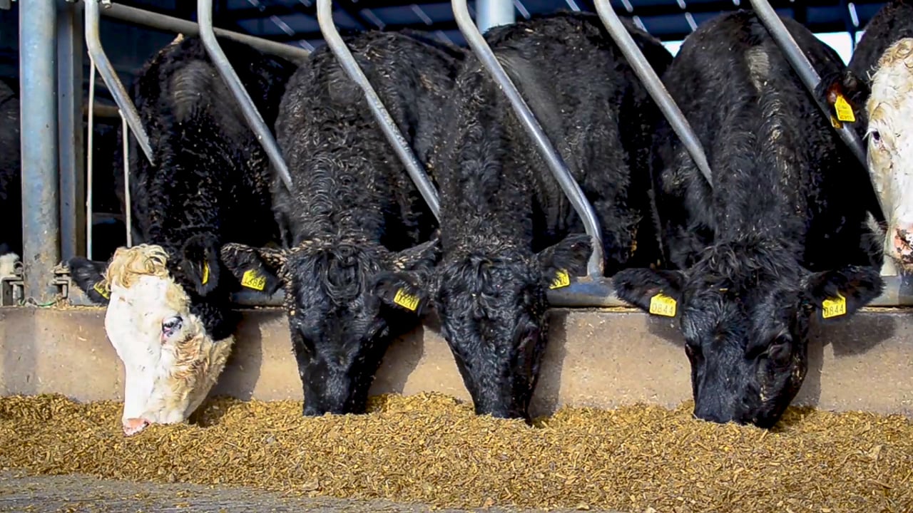 Welsh rural affairs secretary to chair the first SFS roundtable
