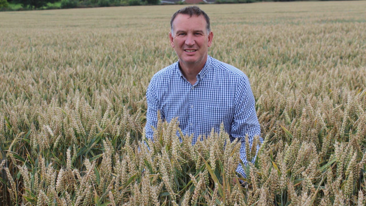Arable update: Barley yields disappointing in Northern Ireland