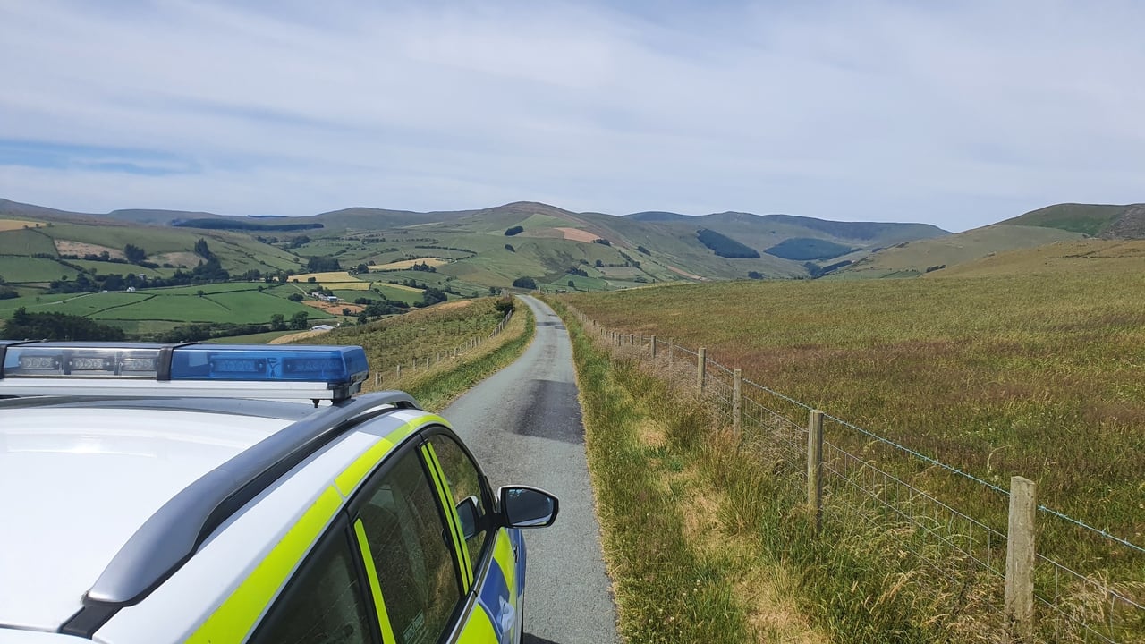 Pregnant cows die following dog chase in Wales