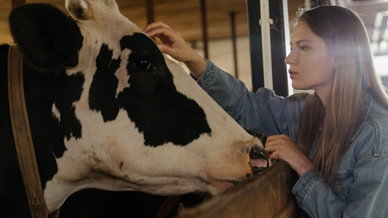 Agriculture has the third highest rate of self-employed women – report