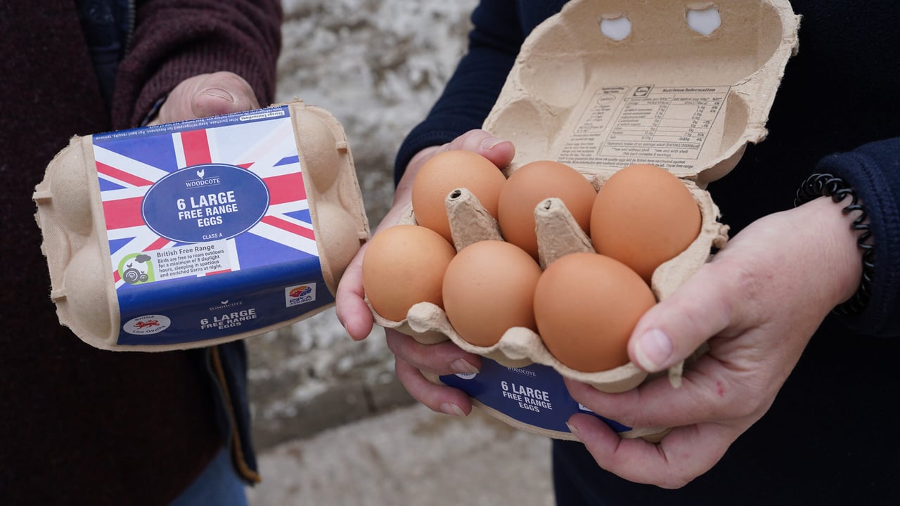 Lidl GB offering financial incentives to farm eggs