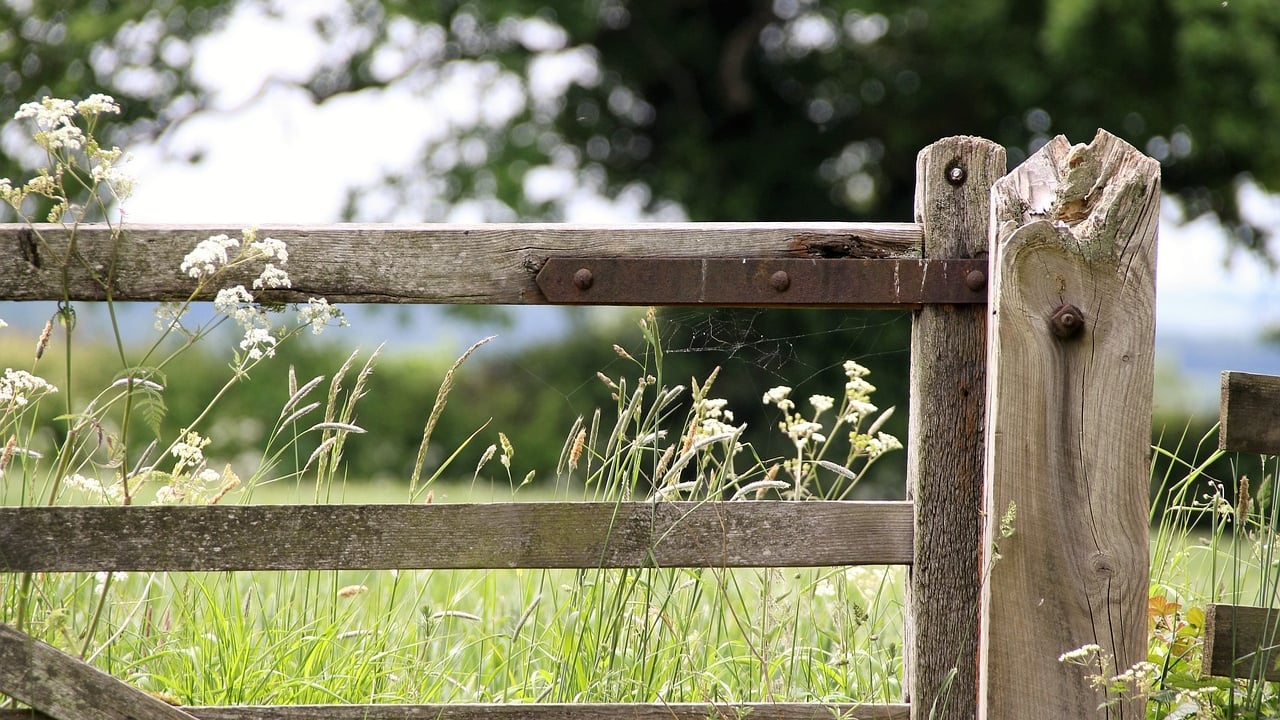 Farmland values see 2% surge in Knight Frank Farmland Index