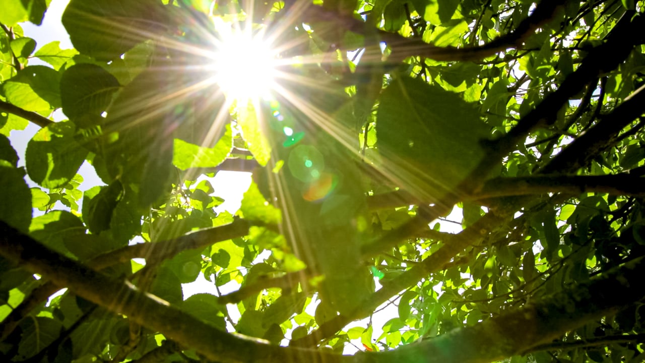8 projects receive £272k through Scottish Climate Engagement Fund