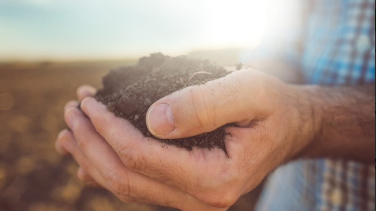World Food Forum 2023 highlights soil degradation and health