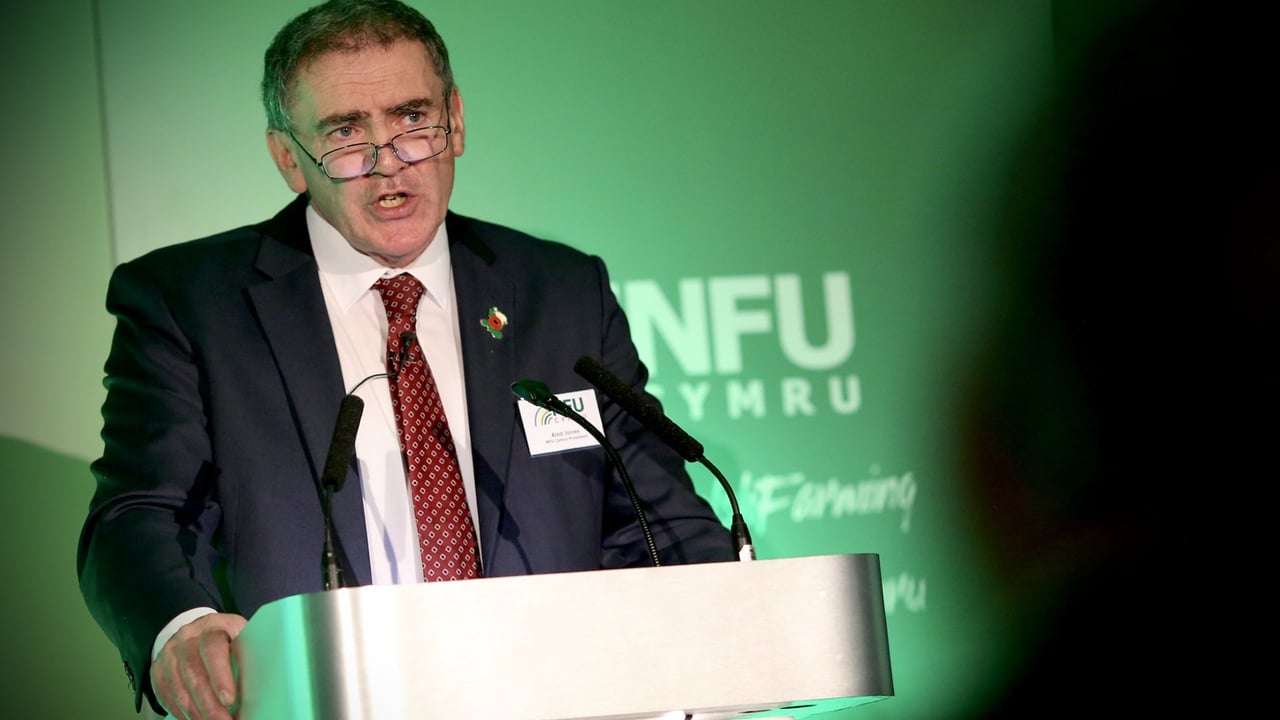 NFU Cymru raises sustainable farming scheme with deputy first minister