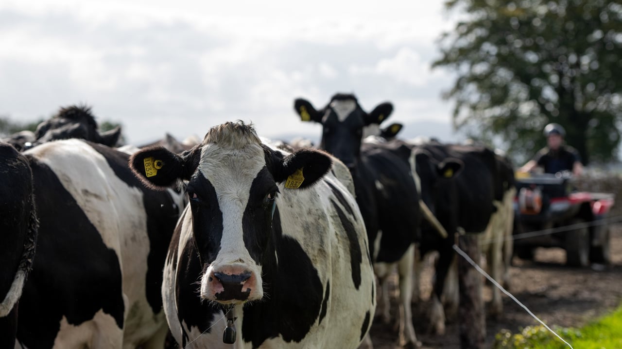 DSM announces partnership to assessment carbon footprint of food