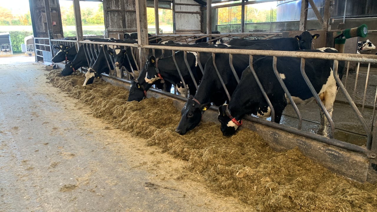 Silage slippage a major issue in Northern Ireland