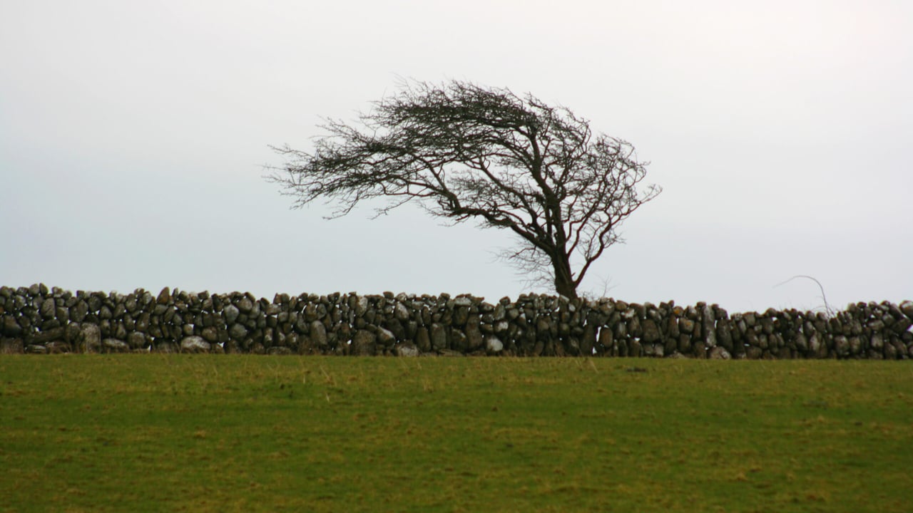 Met Éireann issues Status Orange wind warning for 16 counties