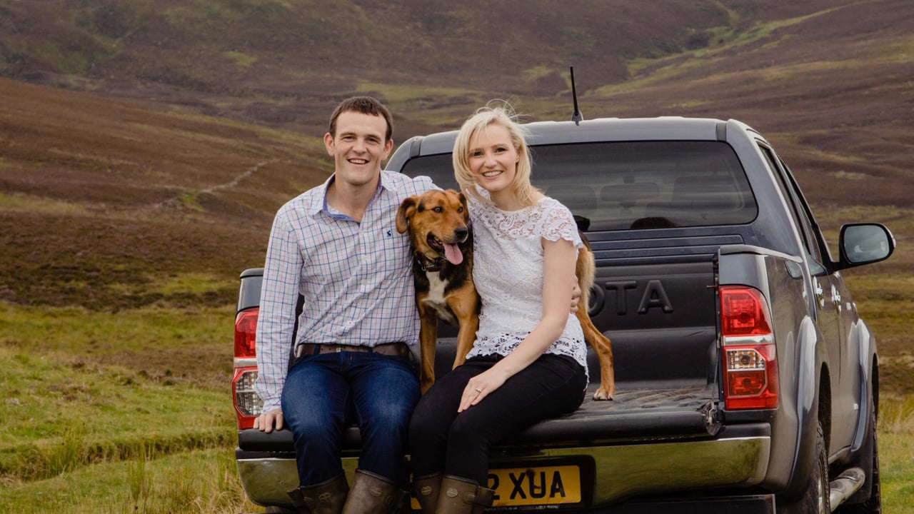 Weight data trials underway on beef farms in Scotland
