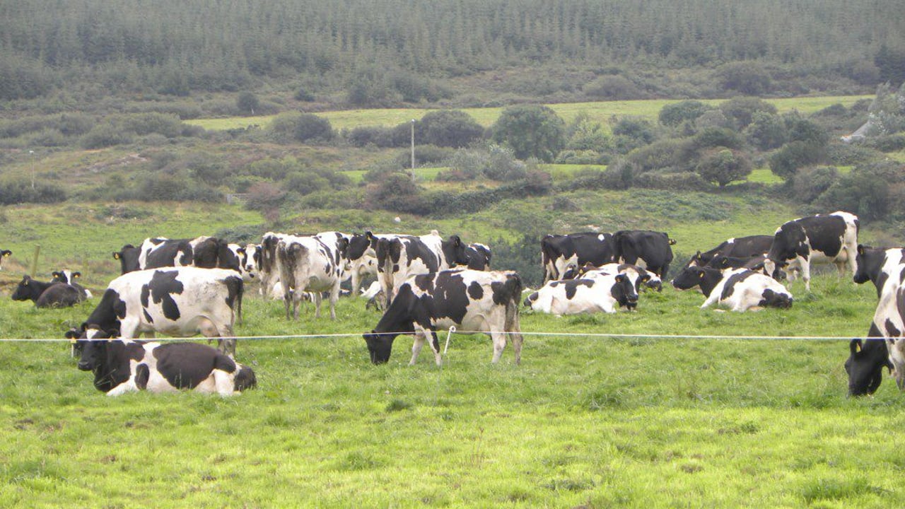Government report calls for methane action plan