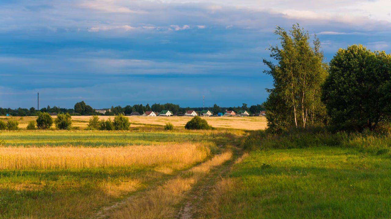 Charities seek farmer’s views on challenges in farming