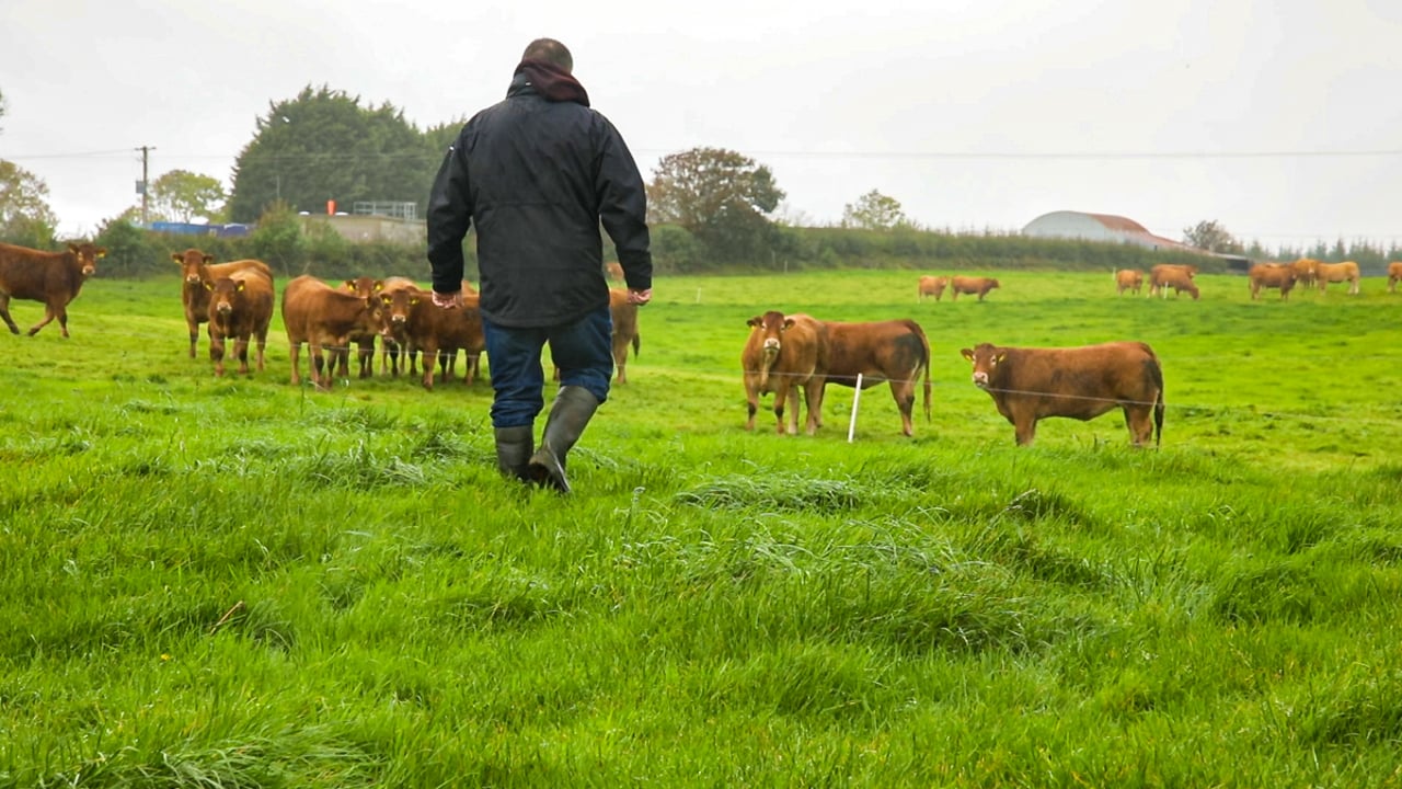UK farming unions welcome Red Tractor’s decision to drop GFC module