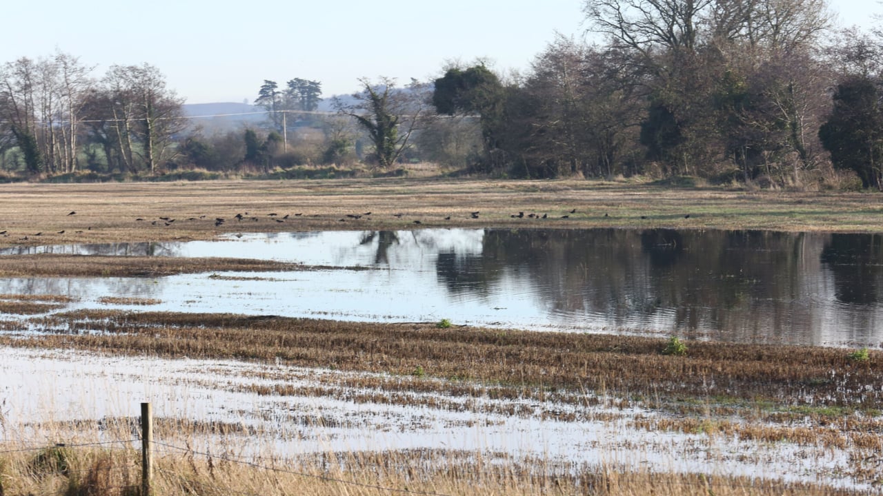 Govt grants £57m in flood relief payments to farmers  