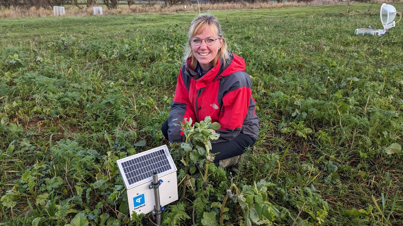 Regenerative agriculture study has ‘fascinating’ findings on benefits