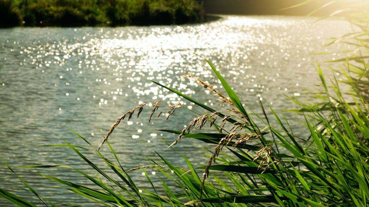 Defra warns capital grants applications may exceed £225m funding