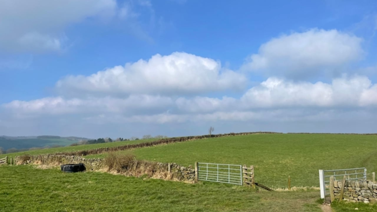 Derbyshire Wildlife Trust purchase Common Farm for rewilding purposes