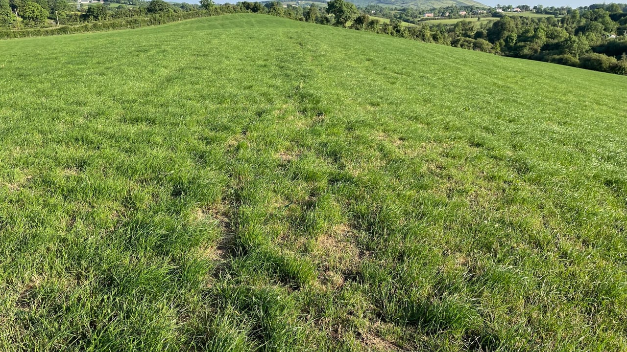 Advice: Actions to take as weather improves