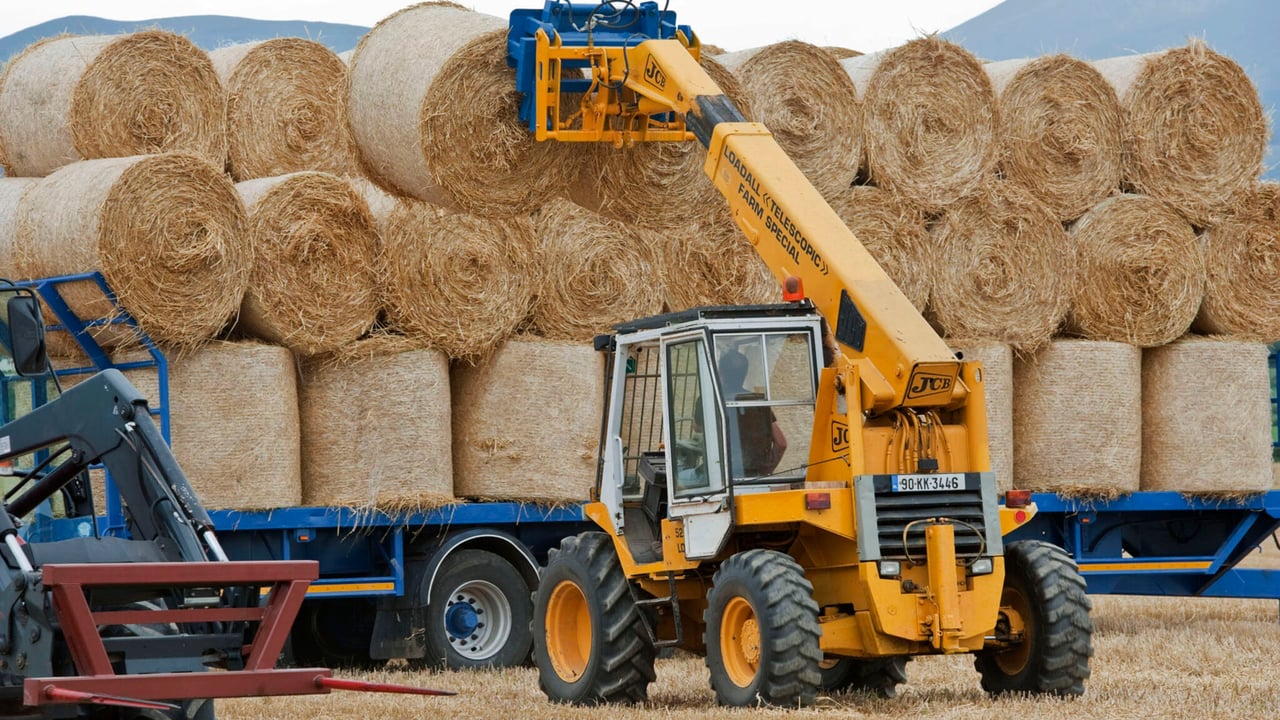Research: Impact of potash levels on straw strength