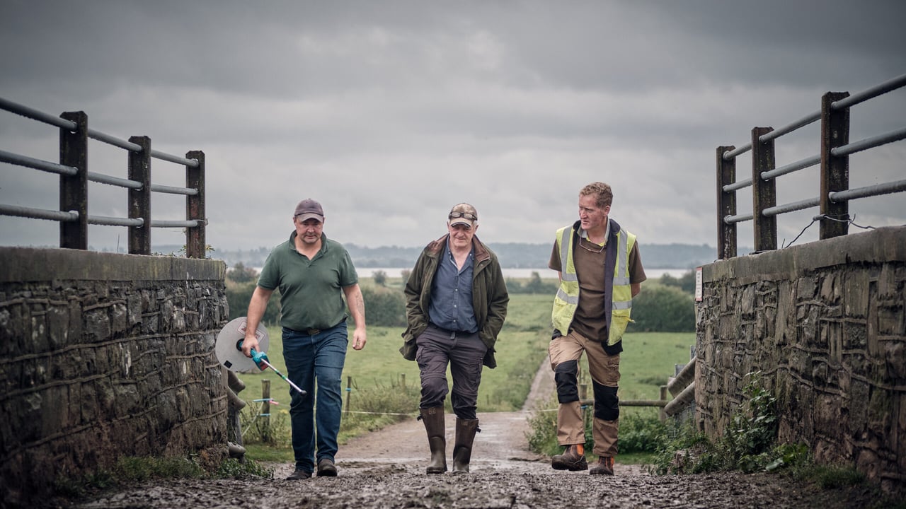 AHDB seeks Welsh dairy farms to join programme